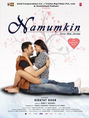 Namumkin Tere Bin Jeena 2020 Movie [740MB] - Movierulz